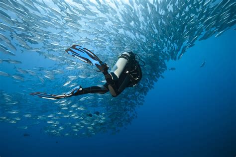 dive tsrip
